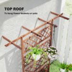 Wooden Trellis Planter Box, Raised Garden Bed to Grow Vegetables, Herbs and Flowers - Image 5