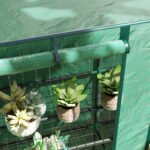 Lean-to Greenhouse with 3 Tier Shelves, Portable Greenhouse with PE Cover, 2 Roll-Up Doors, 56.7" x 18.9" x 59.8", Green - Image 8