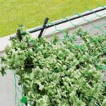Garden Arch Trellis, 7.3 FT Tall Metal Plant Trellis Support with Climbing Net, Cucumber Trellis for Vegetables, Black - Image 8