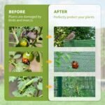 Walk-in Crop Cage, Plant Protectors from Animals with Roll Up Zippered Door, 3.9' x 3.9' x 5.9', Dark Green - Image 4