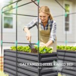 Greenhouse with Raised Garden Bed, Galvanized Steel Outdoor Greenhouse with Roll Up Door, 56" x 56" x 75", Dark Gray - Image 5