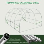 20' x 10' x 7' Outdoor Walk-in Greenhouse, Tunnel Green House with Roll-up Windows, Zippered Door, PE Cover, Heavy Duty Steel Frame, Green - Image 8