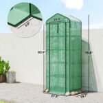 Mini Greenhouse with Screen Roof, 5 Tier Portable Small Greenhouse with High Strength PE Cover, Green - Image 3