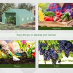 Walk In Tunnel Greenhouse, Portable Outdoor Plant House with Roll Up Doors - Image 6