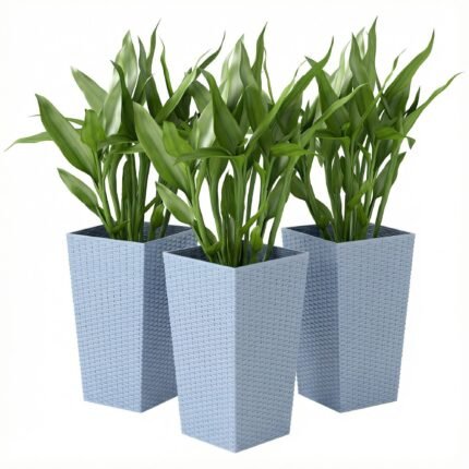 Tall Planters with Outdoor Plants Set of 3