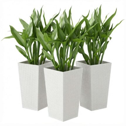 Tall Planters with Outdoor Plants Set of 3