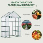 5' x 2.5' x 6.5' Mini Walk-in Greenhouse Kit, Portable Green House with 3 Tier Shelves, Roll-Up Door, and Weatherized Plastic Cover for Backyard Garden, Clear - Image 7