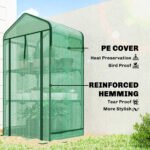 Mini Greenhouse with Screen Roof, Portable Small Greenhouse with Roll-Up Zipper Door, 27.6" x 19.7" x 50", Green - Image 5