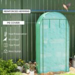 Mini Greenhouse, Portable Greenhouse with 4 Tier Shelves, Roll-Up Door, and Plastic Cover, 41.3" x 17.7" x 63", Green - Image 4