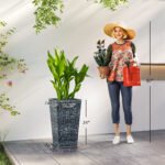 Tall Planters for Outdoor Plants Set of 3, 24 In Taper Planters with Drainage Holes, Rattan Decor Plant Pots for Indoor Outdoor Front Porch Patio Backyard, Gray - Image 3