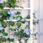 Outdoor Planter Box Galvanized Raised Garden Bed with Trellis for Climbing Vines, 35.4" x 15.7" x 47.2", White - Image 8