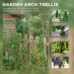 Metal Garden Trellis, Arch Trellis for Climbing Plants Outdoor, A-Frame, with Climbing Net, 57" x 66" x 81", Green - Image 4