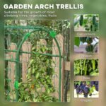 Metal Garden Trellis, Arch Trellis for Climbing Plants Outdoor, A-Frame, with Climbing Net, 17" x 72" x 72", Green - Image 4
