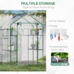 Outdoor Walk-in Mini Greenhouse with Mesh Door & Windows, Small Portable Garden Green House with 3 Tiers 6 Shelves, Trellis, & Plant Labels - Image 5