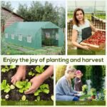 20' x 10' x 7' Outdoor Walk-in Greenhouse, Tunnel Green House with Roll-up Windows, Zippered Door, PE Cover, Heavy Duty Steel Frame, Green - Image 7