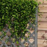 46" Wooden Planter with Trellis, Raised Garden Bed to Grow Vegetables, Herbs, Flowers for Backyard, Patio, Gray - Image 8