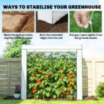 Mini Greenhouse, Portable Greenhouse with Roll-Up Door and 2 Mesh Windows, PE Cover, 78.7" x 29.5" x 74", White - Image 8