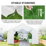 Walk In Tunnel Greenhouse, Portable Outdoor Plant House with Roll Up Doors - Image 5