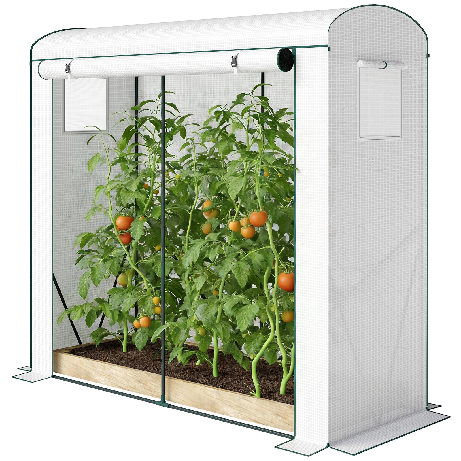 p4z93419d9964ff67.jpg Mini Greenhouse, Portable Greenhouse with Roll-Up Door and 2 Mesh Windows, PE Cover, 78.7" x 29.5" x 74", White - Image 1