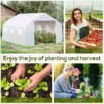 11.5' x 10' x 6.5' Outdoor Walk-in Greenhouse, Tunnel Green House with Roll-up Windows, Zippered Door, PE Cover, Heavy Duty Steel Frame, White - Image 7