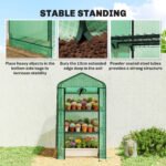 Mini Greenhouse with Screen Roof, Portable Small Greenhouse with Roll-Up Zipper Door, 27.6" x 19.7" x 50", Green - Image 8