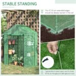 56" x 29" x 77" Walk-in Greenhouse, Garden Hot House with 3 Tier Shleves, Roll-Up Door and PE Cover, Green - Image 5