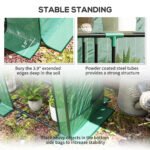 Lean-to Greenhouse with 3 Tier Shelves, Portable Greenhouse with PE Cover, 2 Roll-Up Doors, 56.7" x 18.9" x 59.8", Green - Image 7